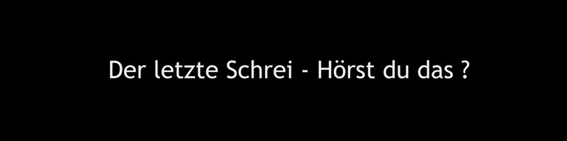 der letzte schrei hörst du das ? vvfilm
